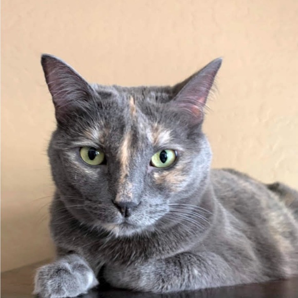 Meet your Posher, Hilde - Picture 1 of 1